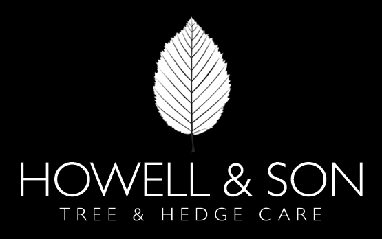 Howell & Son - Tree & Hedge Care